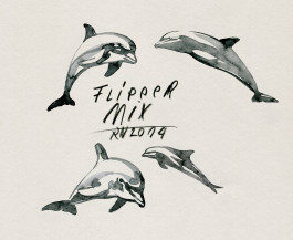  Flipper