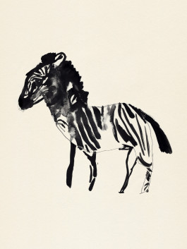  Zebra